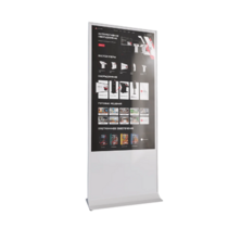 Интерактивный сенсорный киоск Nova 55" - «globural.ru» - Ессентуки
