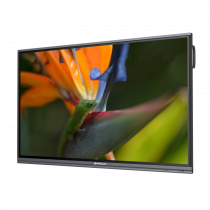 Интерактивный программно-аппаратный комплекс Geckotouch Interactive Pro IP75HT-E в комплекте с настенным креплением - «globural.ru» - Ессентуки