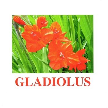 "Flowers-1" ("Цветы-1") английские карточки Домана - «globural.ru» - Ессентуки