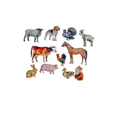 Фланелеграф "Домашние животные" - «globural.ru» - Ессентуки