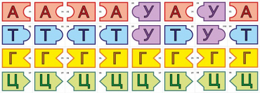 Модель-аппликация Удвоение ДНК и транскрипция РНК - «globural.ru» - Ессентуки