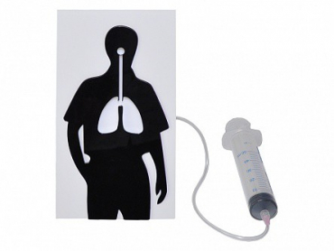 Демонстрационная модель "Эффект курения" - «globural.ru» - Ессентуки