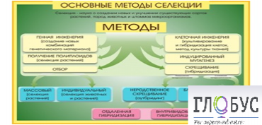 Стенд "Методы селекции и биотехнологии" - «globural.ru» - Ессентуки