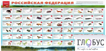 Стенд "Красная книга РФ" - «globural.ru» - Ессентуки
