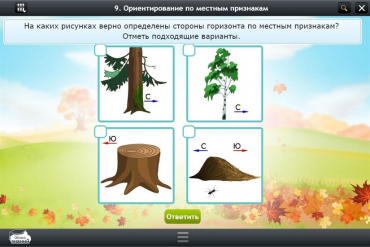 Интерактивные курсы. Окружающий мир 1 класс. Базовый - «globural.ru» - Ессентуки