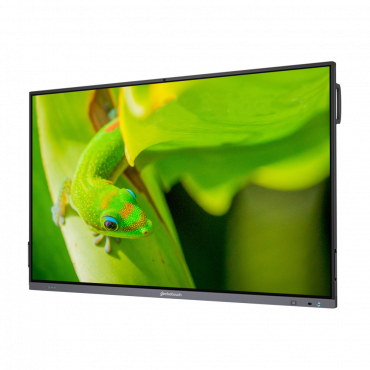 Интерактивный программно-аппаратный комплекс Geckotouch Interactive IP86GT-С  в комплекте с настенным креплением - «globural.ru» - Ессентуки