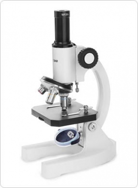 Микроскоп Школьный 2 - «globural.ru» - Ессентуки